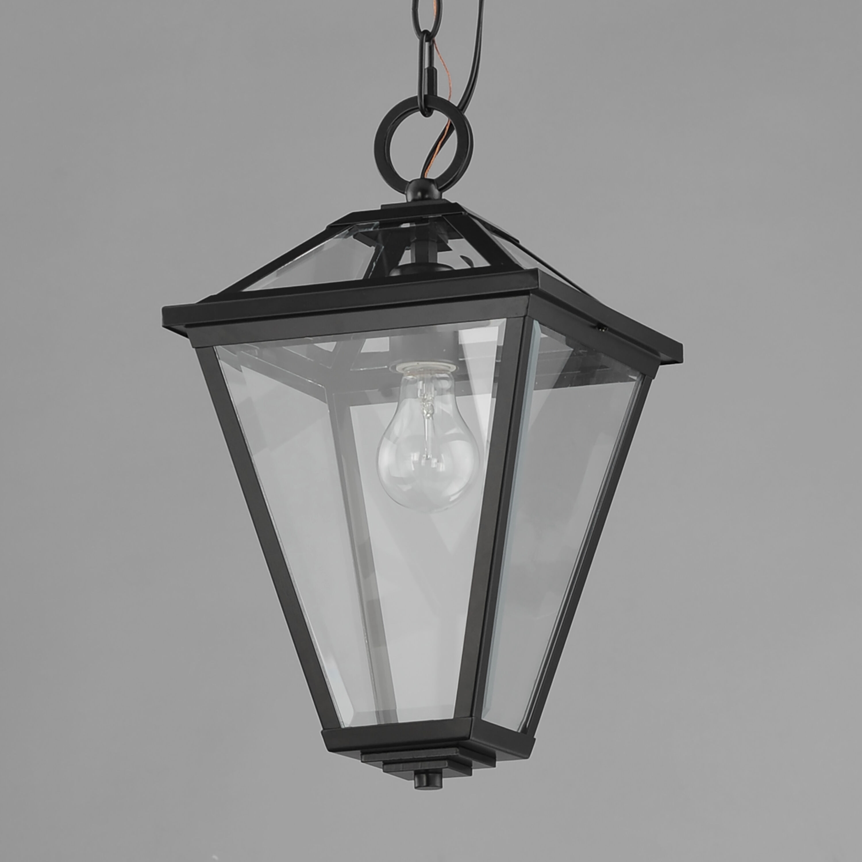 Prism 1 Light 9 inch Black Outdoor Pendant
