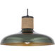 Bingham 1 Light 17 inch June Bug Single Pendant Ceiling Light