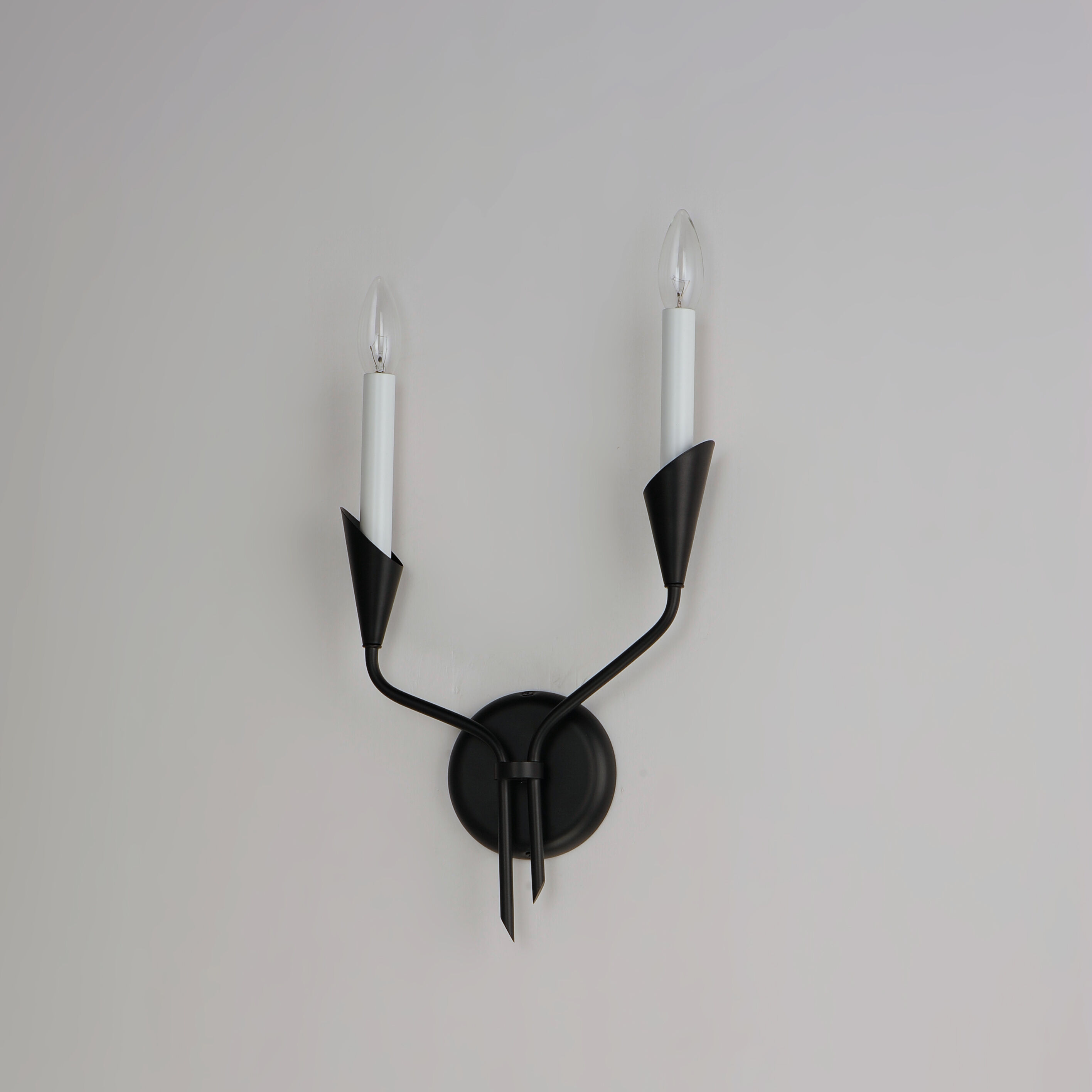 Calyx Wall Sconce Wall Light