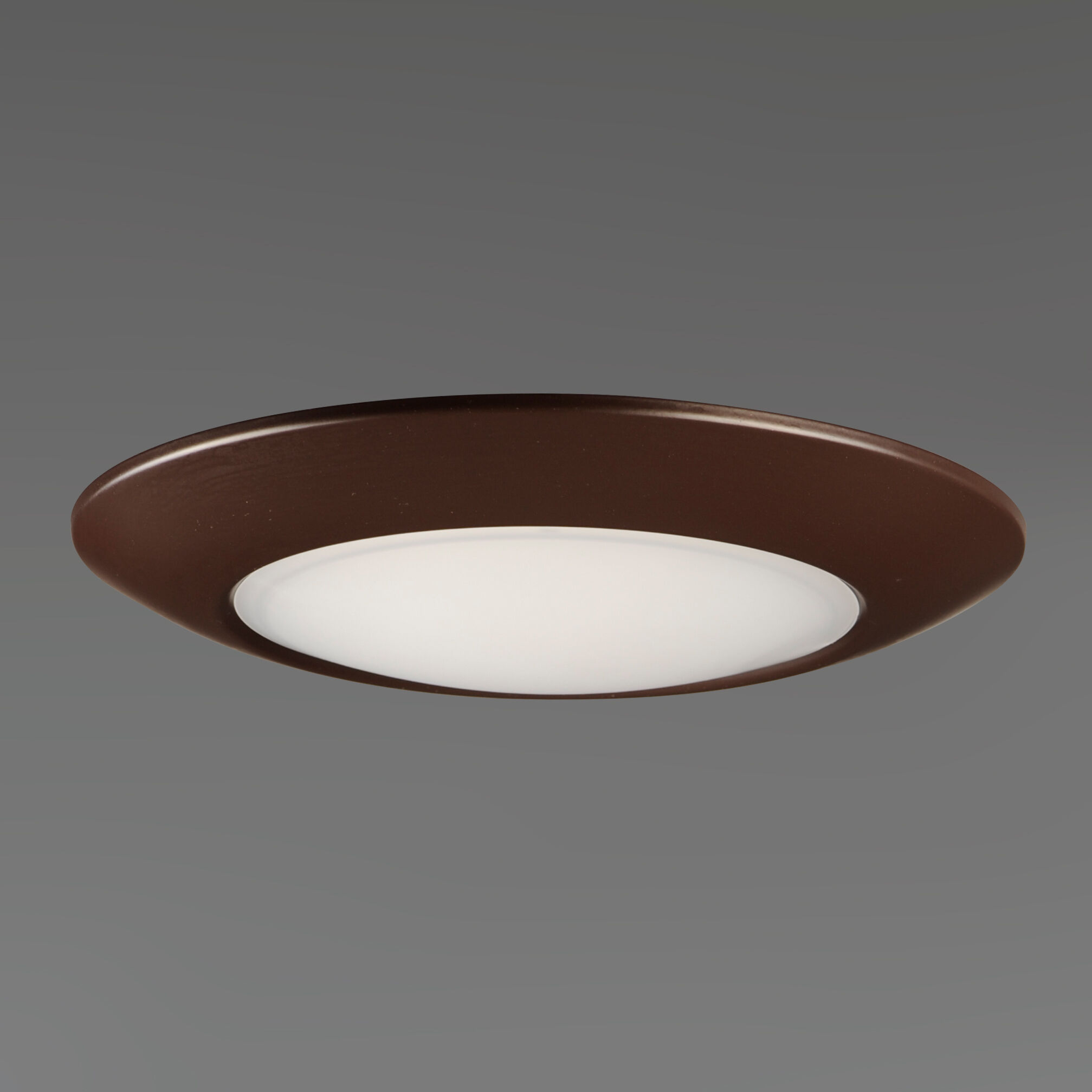 Diverse LED LED 11 inch Bronze Flush Mount Ceiling Light