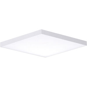 Trim LED 15 inch White Flush Mount Ceiling Light