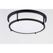 Rogue 2 Light 13 inch Black Flush Mount Ceiling Light