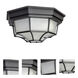 Crown Hill LED 11.5 inch Black Outdoor Flush Mount