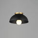 Thelonious 1 Light 11.5 inch Black and Natural Aged Brass Flush Mount Ceiling Light