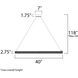 Eternity LED 40 inch Polished Chrome Entry Foyer Pendant Ceiling Light
