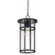 Clyde Vivex 1 Light 9 inch Black Outdoor Pendant