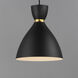 Carillon 1 Light 10.5 inch Black with Satin Brass Mini Pendant Ceiling Light in Black and Satin Brass