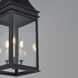 Bramwell VX 3 Light 9 inch Black Patina Outdoor Pendant