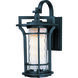 Oakville 1 Light 17.5 inch Black Oxide Outdoor Wall Mount