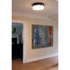 Mystic LED 16 inch Bronze Flush Mount Ceiling Light in Scotch Crystal, 30.8