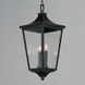 Sutton Place VX 2 Light 10 inch Black Outdoor Pendant