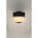 Michelle LED 5 inch Black Outdoor Wall Mount in Frosted