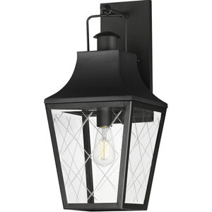 Storybook 1 Light 9.5 inch Black Outdoor Hanging Lantern