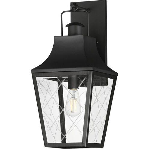 Storybook 1 Light 9.5 inch Black Outdoor Hanging Lantern