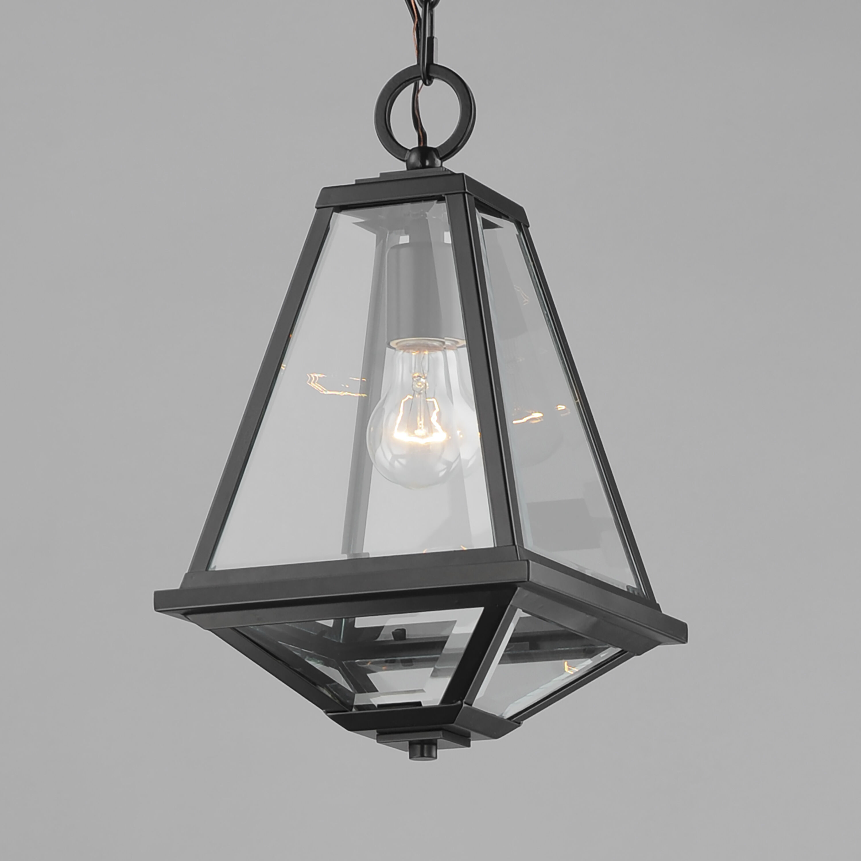 Prism 1 Light 9 inch Black Outdoor Pendant