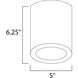 Lightray LED 5 inch White Outdoor Flush Mount