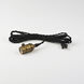 Early Electric 1 Light 2.25 inch Black and Antique Brass Single Pendant Ceiling Light