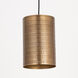 Shaka 1 Light 8 inch Weathered Brass Mini Pendant Ceiling Light