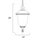 Carriage House DC 3 Light 14 inch Oriental Bronze Outdoor Hanging Lantern
