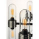 Dual 12 Light 26.25 inch Black and Brushed Aluminum Outdoor Chandelier