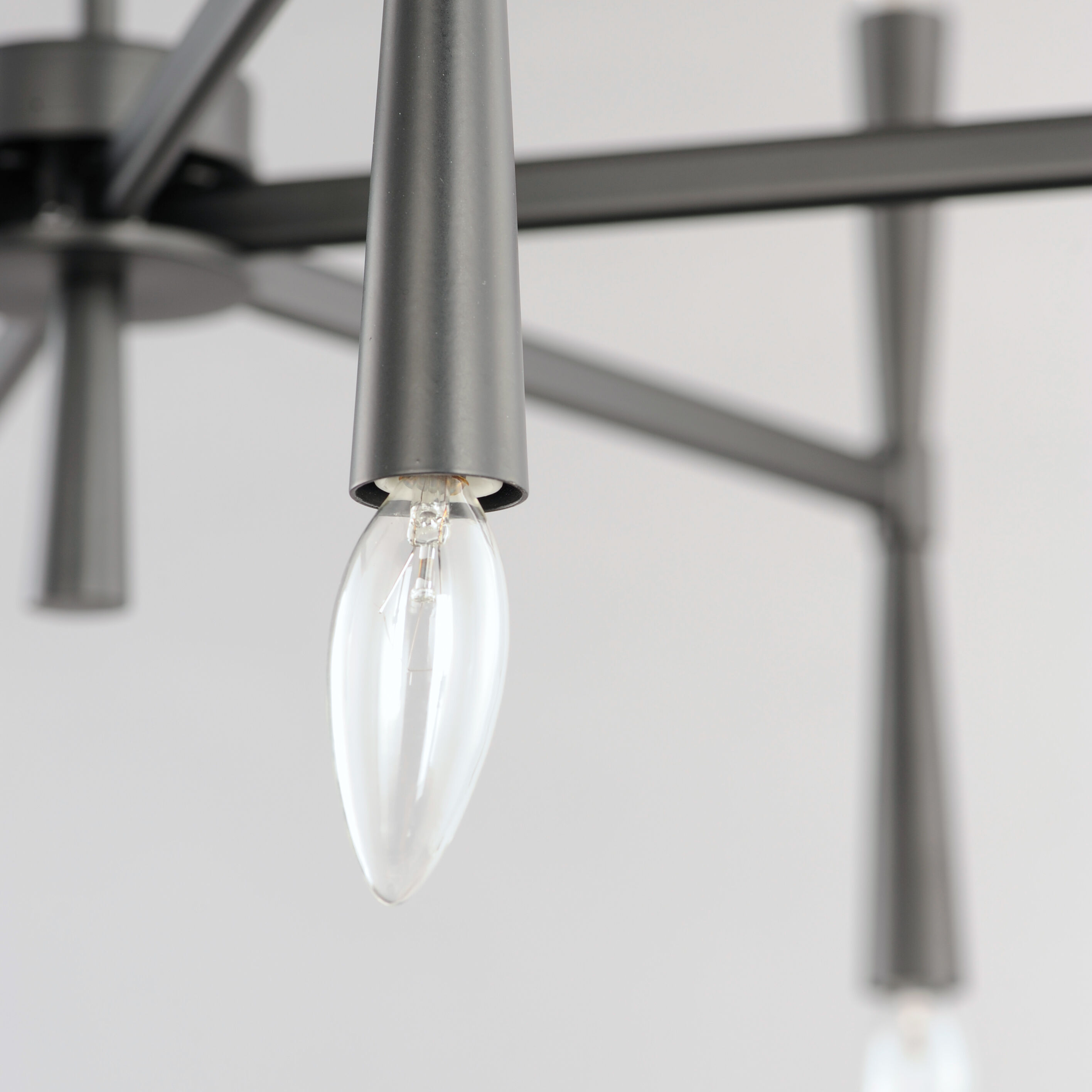 Rome 12 Light 29 inch Black Chandelier Ceiling Light