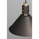 Tucson 1 Light 11.25 inch Oil Rubbed Bronze and Weathered Wood Single Pendant Ceiling Light