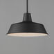 Pier M 1 Light 14 inch Black Outdoor Pendant, X-Large