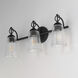Jackson Hole 3 Light 23.5 inch Black Bath Vanity Wall Light in Clear