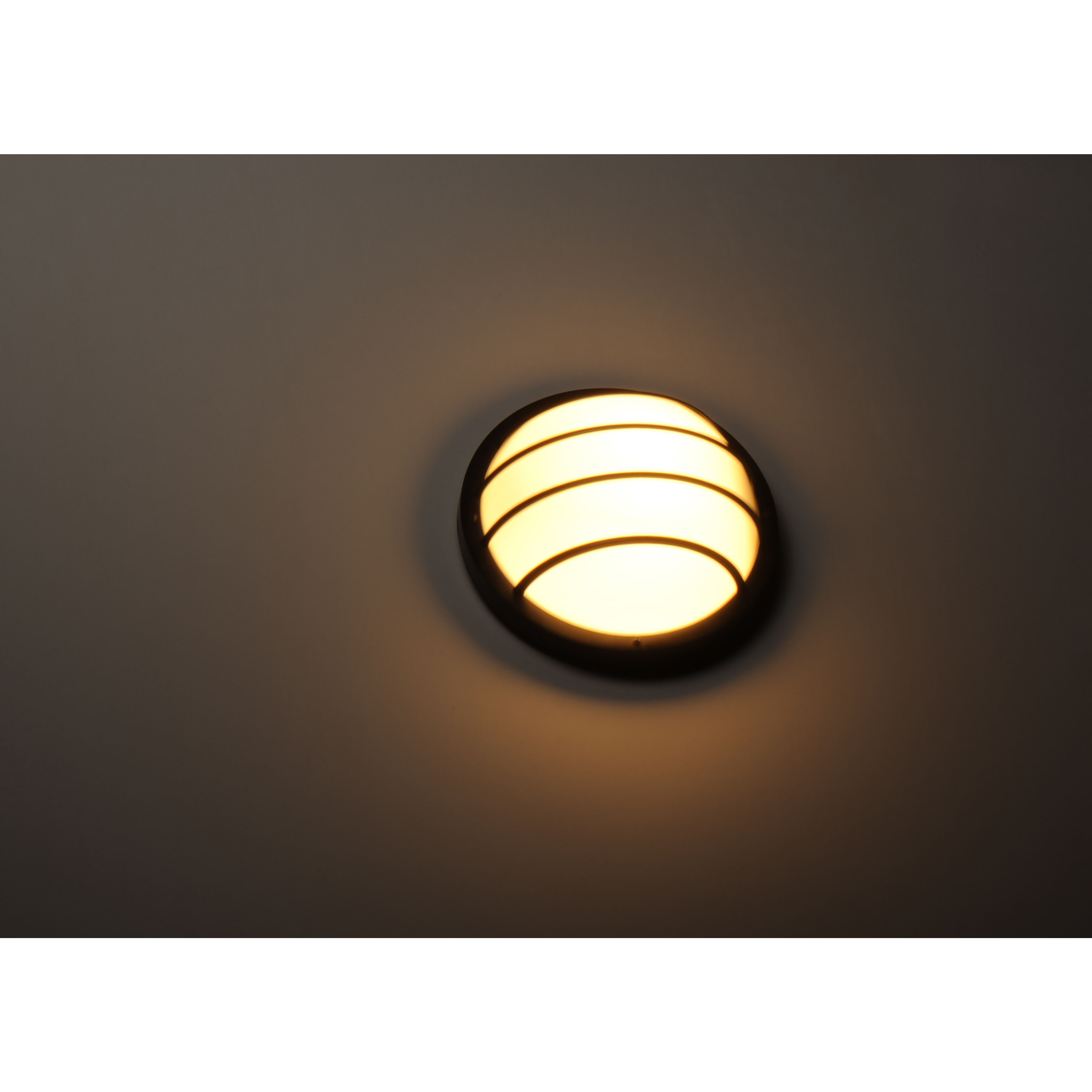 Bulwark LED 10 inch Black Outdoor Wall Mount