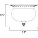 Carriage House DC 2 Light 12 inch Oriental Bronze Outdoor Flush Mount