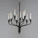 Calyx 9 Light 24.5 inch Black Chandelier Ceiling Light