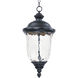 Carriage House LED 11 inch Oriental Bronze Outdoor Hanging Lantern