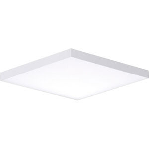 Trim LED 11 inch White Flush Mount Ceiling Light