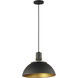 Dawn 1 Light 12 inch Antique Brass and Black Single Pendant Ceiling Light
