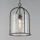 Del Mar 1 Light 13 inch Blacksmith Outdoor Pendant in Water