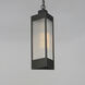 Triform 1 Light 7.5 inch Black and Antique Brass Outdoor Pendant