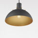 Dawn 1 Light 12 inch Antique Brass and Black Single Pendant Ceiling Light
