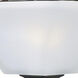 Aurora 2 Light 16 inch Oil Rubbed Bronze Invert Bowl Pendant Ceiling Light