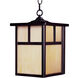 Coldwater 1 Light 9 inch Burnished Outdoor Hanging Lantern in Honey