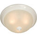 Essentials - 583x 2 Light 13.5 inch White Flush Mount Ceiling Light