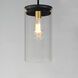 Pinn 1 Light 8 inch Black and Satin Brass Single Pendant Ceiling Light