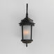 Dover LED 24.5 inch Bronze Outdoor Wall Mount