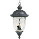 Carriage House DC 3 Light 14 inch Oriental Bronze Outdoor Hanging Lantern