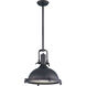 Hi-Bay 1 Light 17.75 inch Bronze Single Pendant Ceiling Light