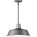 Pier M 1 Light 14 inch Weathered Zinc Outdoor Pendant, X-Large
