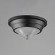 Hargreaves 1 Light 10 inch Black Flush Mount Ceiling Light