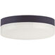 Illuminaire II 1 Light 7.00 inch Flush Mount