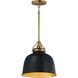 Hollis 1 Light 12 inch Natural Aged Brass Single Pendant Ceiling Light