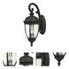 Knob Hill DC 3 Light 24.5 inch Sienna Outdoor Wall Mount