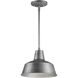 Pier M 1 Light 10.25 inch Outdoor Pendant/Chandelier